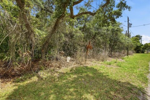 Terreno en venta en DeLand, Florida № 2103386 - foto 6