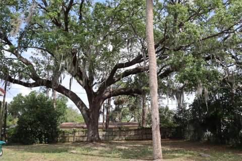 House in Deltona, Florida 1 bedroom, 51.28 sq.m. № 1614110 - photo 10