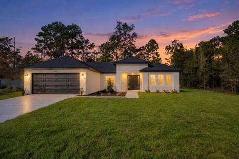 Villa ou maison à Weeki Wachee, Floride 3 chambres, 138.05 m2 № 2425883