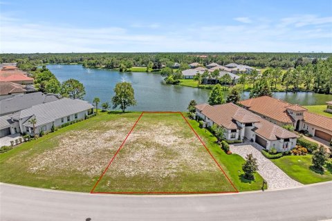 Land in Palm Coast, Florida № 1918787 - photo 1
