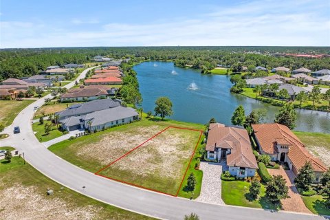 Land in Palm Coast, Florida № 1918787 - photo 9