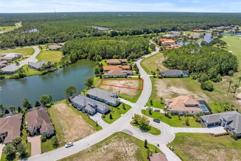 Land in Palm Coast, Florida № 1918787 - photo 8