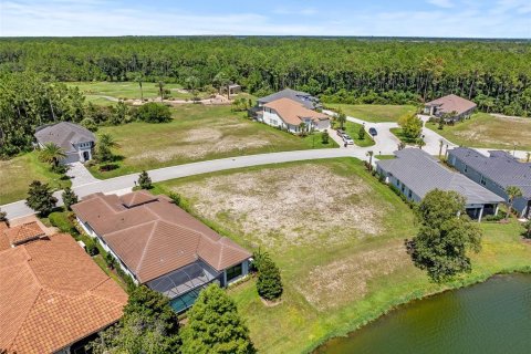 Land in Palm Coast, Florida № 1918787 - photo 3