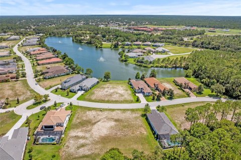 Land in Palm Coast, Florida № 1918787 - photo 5