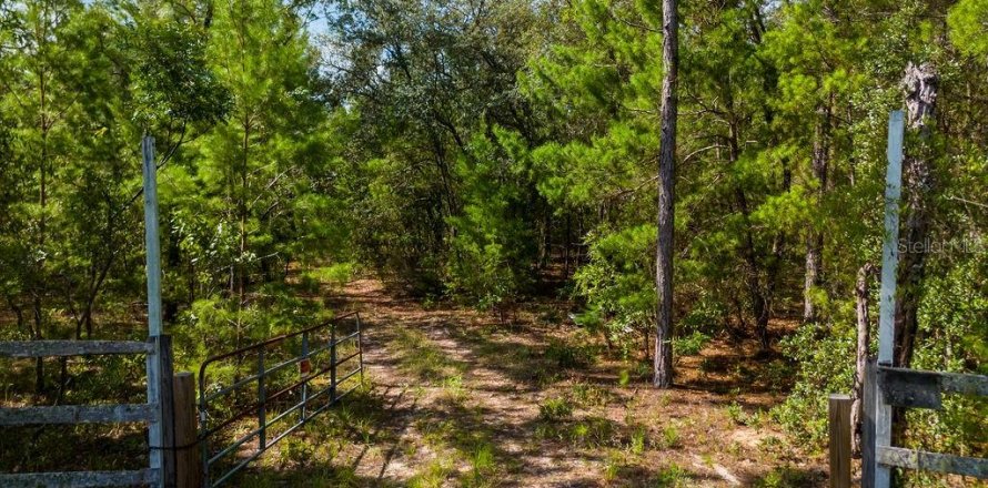 Terreno en Keystone Heights, Florida № 1829868