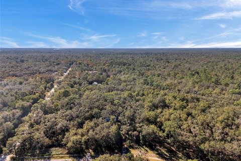 Land in Spring Hill, Florida № 1569936 - photo 1