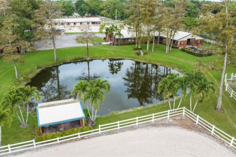 Propiedad comercial en alquiler en Parkland, Florida № 884389 - foto 1