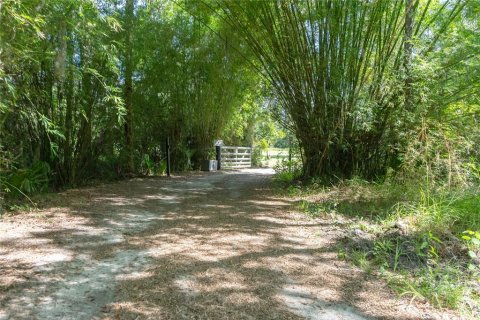 House in Oak Hill, Florida 1 bedroom, 98.1 sq.m. № 2290969 - photo 2