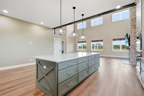 Villa ou maison à vendre à Arcadia, Floride: 4 chambres, 378.67 m2 № 2348342 - photo 9