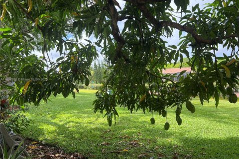 Villa ou maison à louer à Weston, Floride: 2 chambres, 94.57 m2 № 1996366 - photo 6