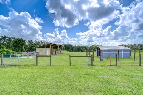 House in Fish Hawk, Florida 4 bedrooms, 275.83 sq.m. № 1849408 - photo 4