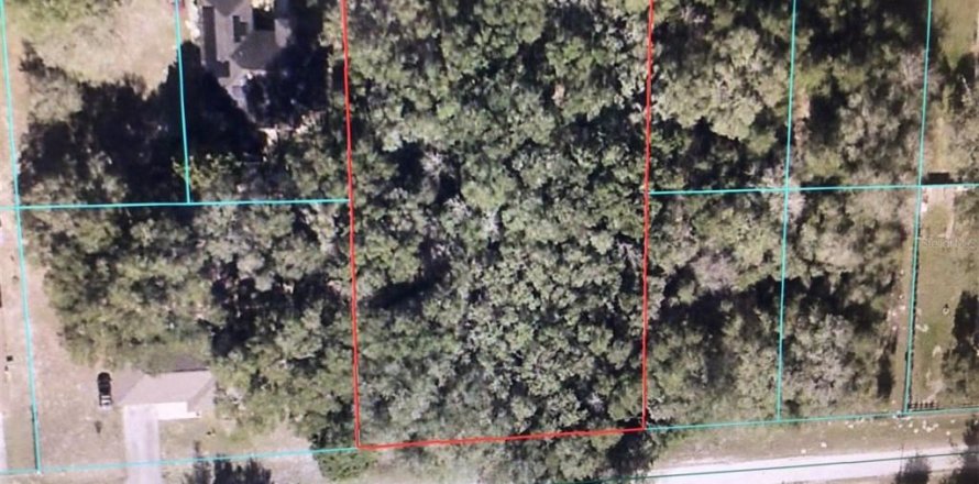 Terrain à Dunnellon, Floride № 1901356
