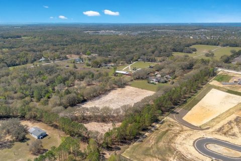 Terreno en venta en Mount Dora, Florida № 1508560 - foto 17