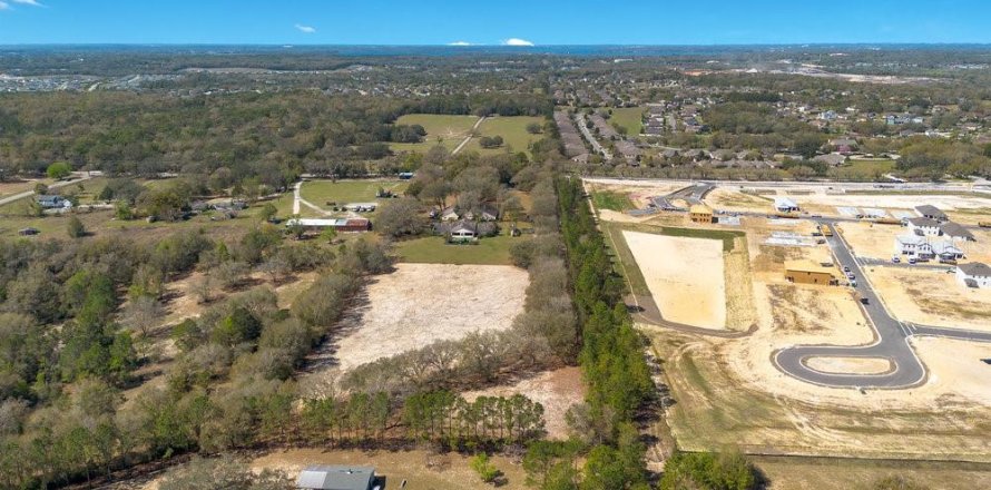 Terreno en Mount Dora, Florida № 1508560