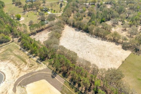Terreno en venta en Mount Dora, Florida № 1508560 - foto 12