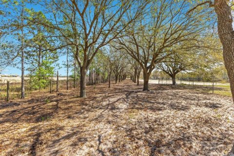 Terreno en venta en Mount Dora, Florida № 1508560 - foto 4