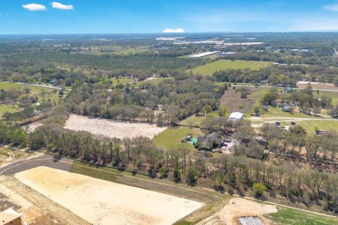 Terreno en venta en Mount Dora, Florida № 1508560 - foto 15