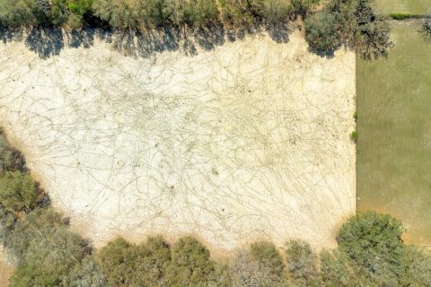 Terreno en venta en Mount Dora, Florida № 1508560 - foto 13