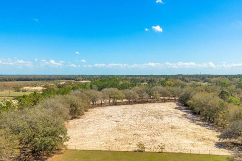 Terreno en venta en Mount Dora, Florida № 1508560 - foto 7