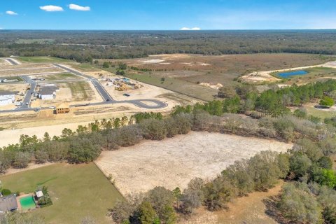 Terreno en venta en Mount Dora, Florida № 1508560 - foto 9