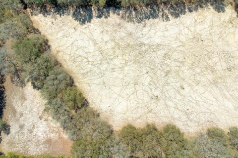 Terreno en venta en Mount Dora, Florida № 1508560 - foto 2