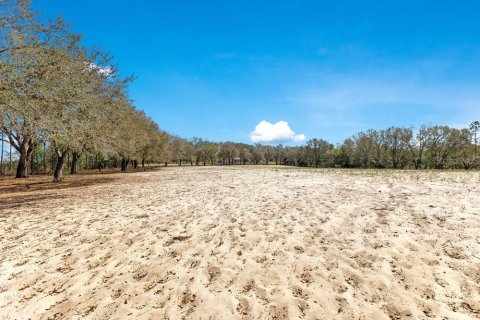 Terreno en venta en Mount Dora, Florida № 1508560 - foto 6