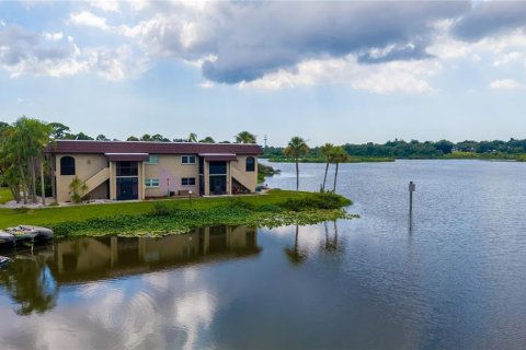 Condo in Safety Harbor, Florida, 1 bedroom № 2238176 - photo 24