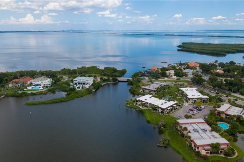 Condo in Safety Harbor, Florida, 1 bedroom № 2238176 - photo 18