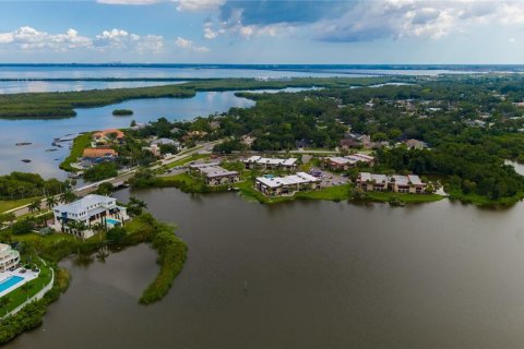 Condo in Safety Harbor, Florida, 1 bedroom № 2238176 - photo 19