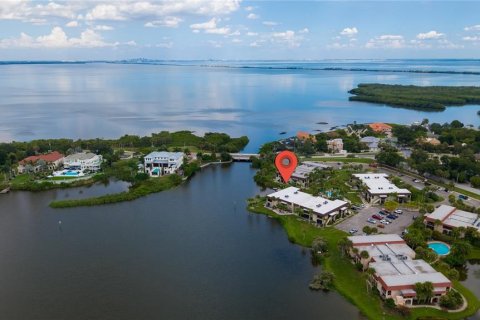 Condo in Safety Harbor, Florida, 1 bedroom № 2238176 - photo 14