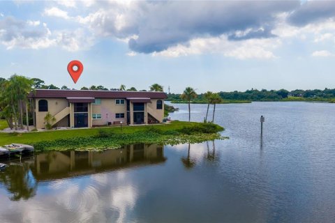 Condo in Safety Harbor, Florida, 1 bedroom  № 2238176
