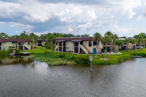 Condo in Safety Harbor, Florida, 1 bedroom № 2238176 - photo 23