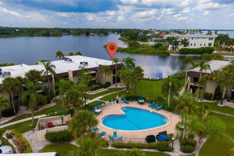 Condo in Safety Harbor, Florida, 1 bedroom № 2238176 - photo 16