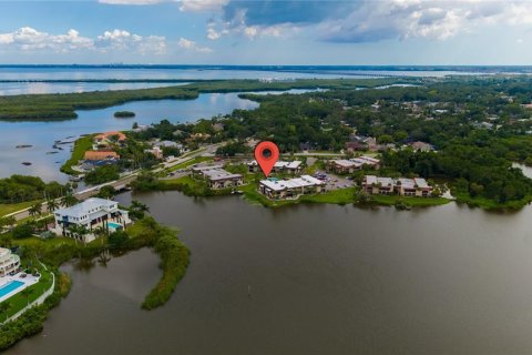 Condo in Safety Harbor, Florida, 1 bedroom № 2238176 - photo 15