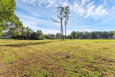 Terreno en venta en Maitland, Florida № 1760516 - foto 7