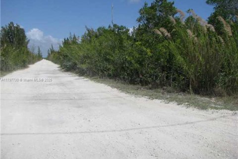 Propiedad comercial en venta en Florida City, Florida № 1738155 - foto 4