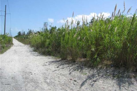 Propiedad comercial en venta en Florida City, Florida № 1738155 - foto 2
