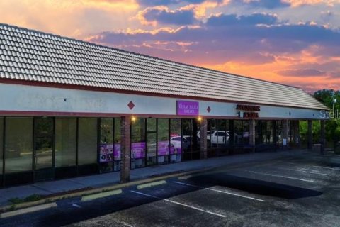 Propiedad comercial en venta en Tampa, Florida, 130.06 m2 № 1190401 - foto 1