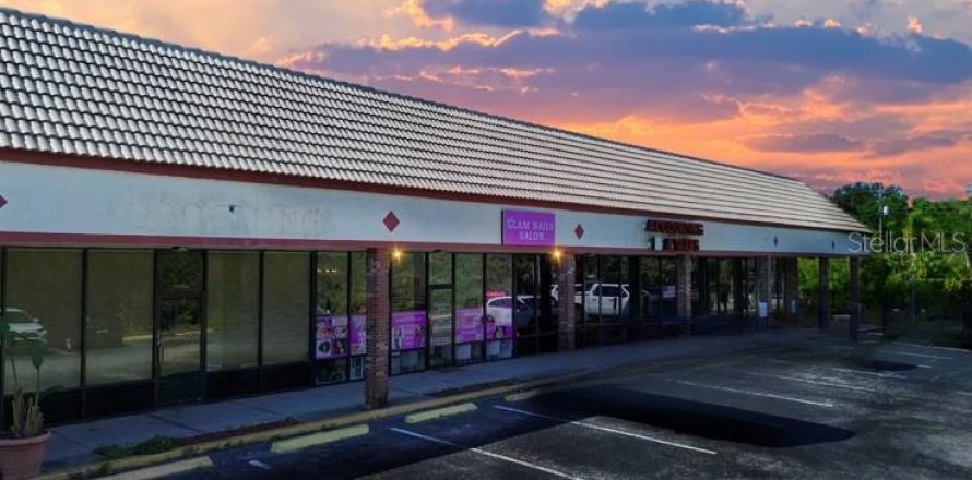 Propiedad comercial en Tampa, Florida 130.06 m2 № 1190401