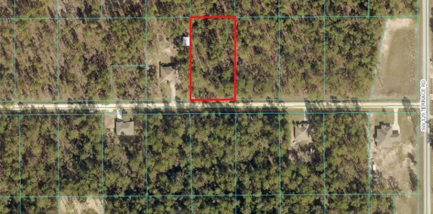 Terrain à Dunnellon, Floride № 1190014