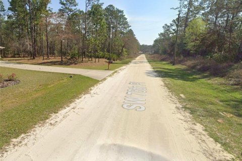 Terrain à vendre à Dunnellon, Floride № 1190014 - photo 4