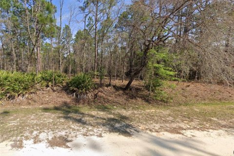 Terrain à vendre à Dunnellon, Floride № 1190014 - photo 2