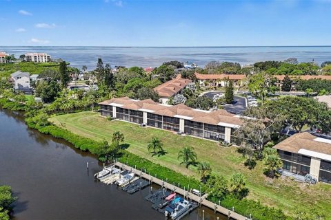 Condo in Tarpon Springs, Florida, 2 bedrooms  № 2322827 - photo 18