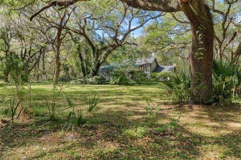 House in Gainesville, Florida 4 bedrooms, 328.6 sq.m. № 1609532 - photo 5