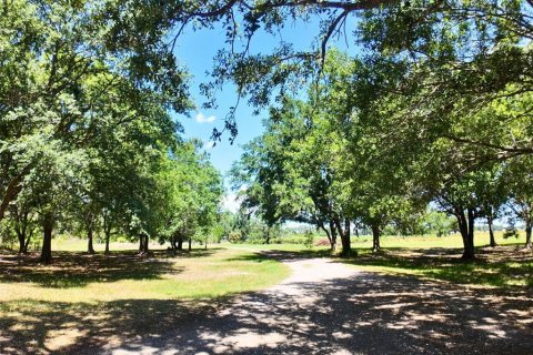 Terreno en venta en Wimauma, Florida № 1718858 - foto 5