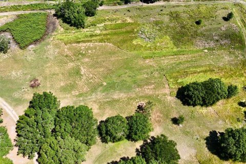 Terreno en venta en Wimauma, Florida № 1718858 - foto 2