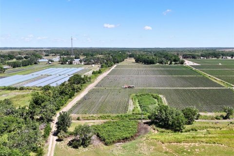 Terreno en venta en Wimauma, Florida № 1718858 - foto 6
