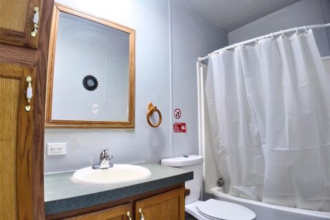 Terreno en venta en Wimauma, Florida № 1718858 - foto 30