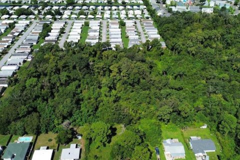 Terrain à New Port Richey, Floride № 2359031
