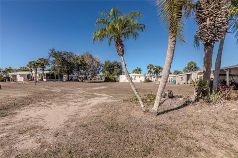 Land in Port Charlotte, Florida № 2108920 - photo 4